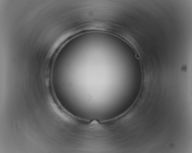 X0000113321131200909211149