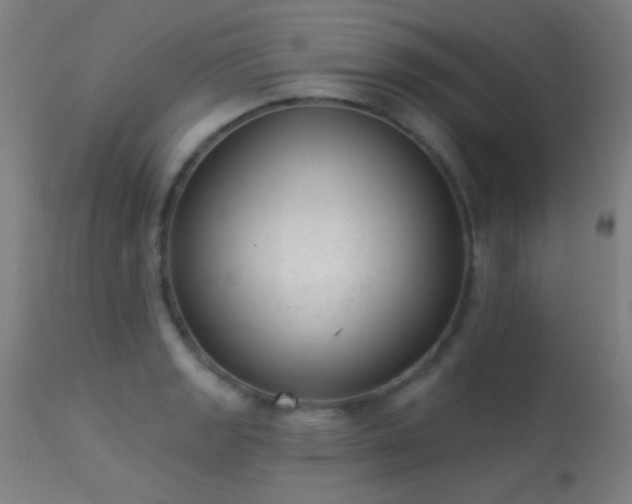 X0000113321133200909211149