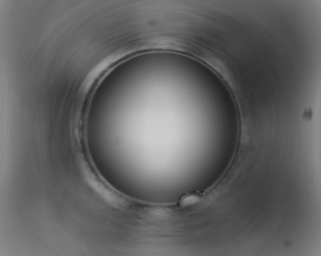 X0000113321136200909211149