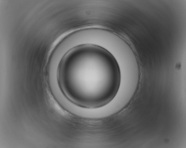 X0000113321140200909211149