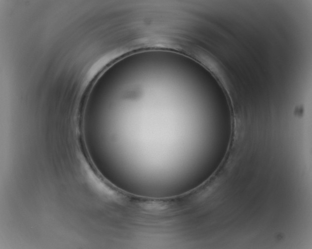 X0000113321141200909211149