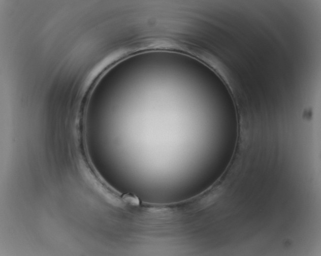 X0000113321142200909211149