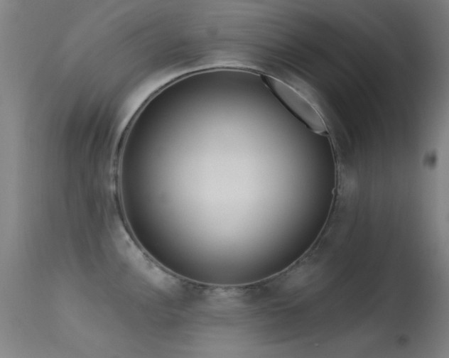 X0000113321148200909211149