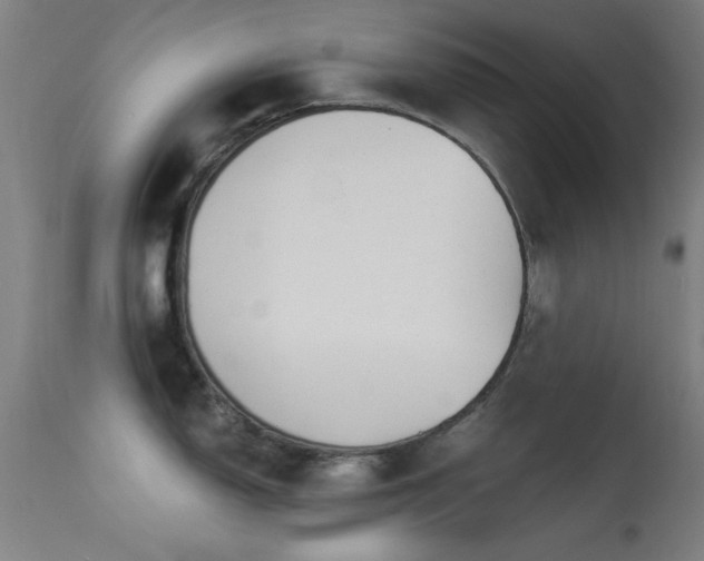 X0000113321150200909211149