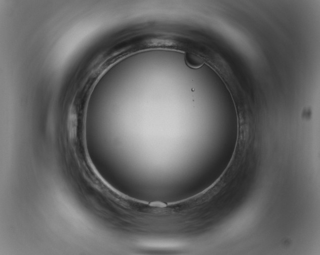 X0000113321151200909211149