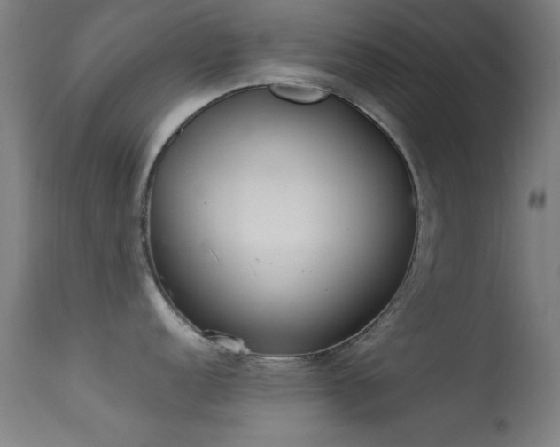 X0000113321152200909211149