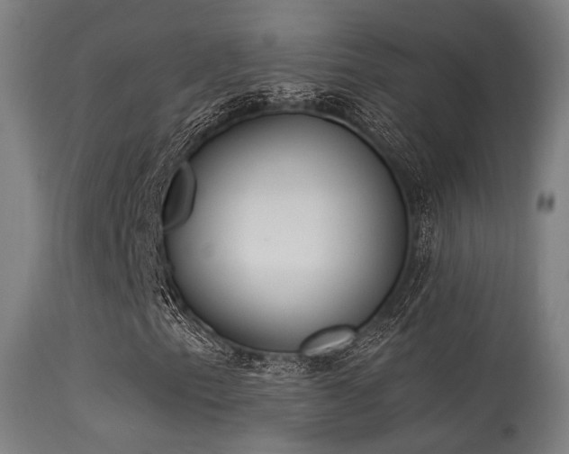 X0000113321153200909211148