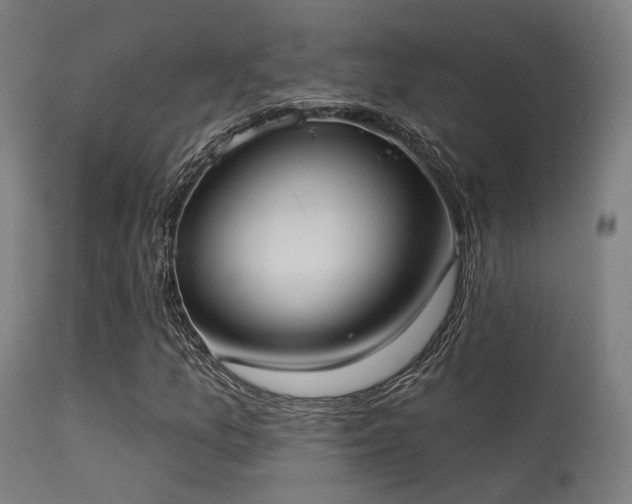 X0000113321157200909211148