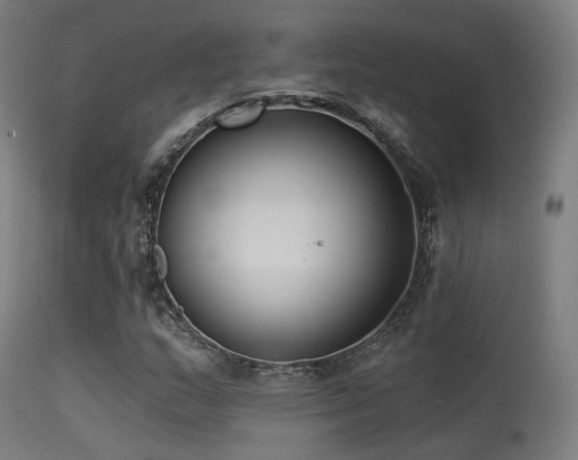 X0000113321159200909211148