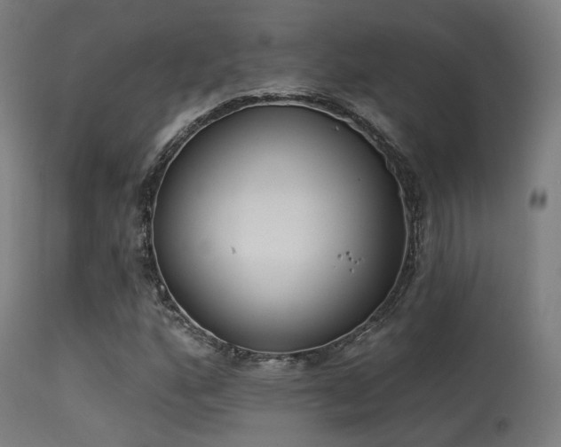 X0000113321160200909211148