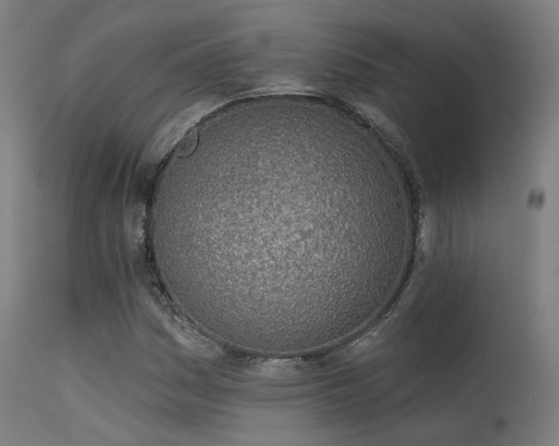 X0000113321161200909211148