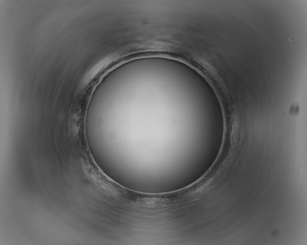 X0000113321163200909211148