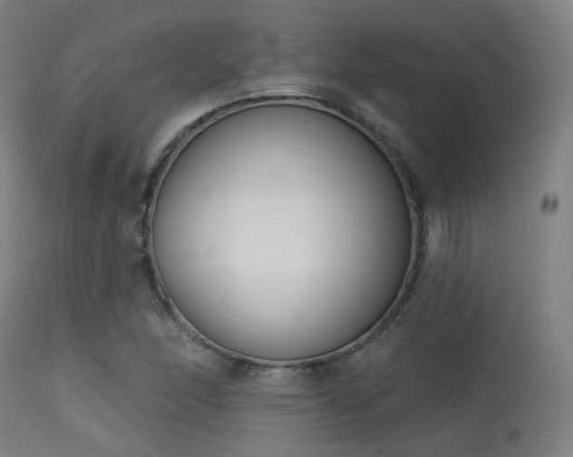 X0000113321166200909211148