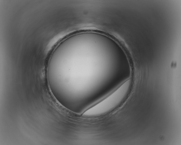 X0000113321167200909211148