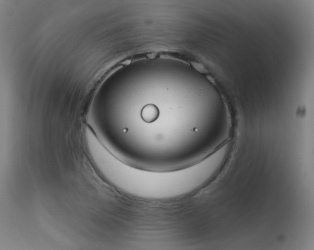 X0000113321169200909211148