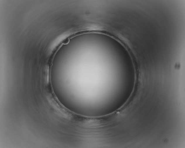 X0000113321171200909211148