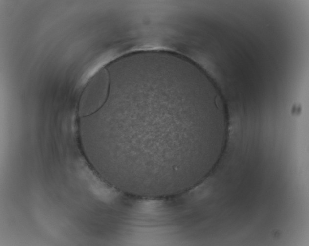 X0000113321173200909211148