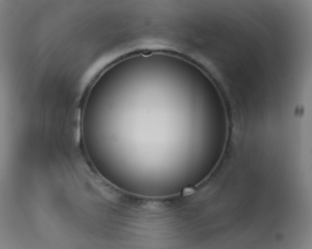 X0000113321175200909211148