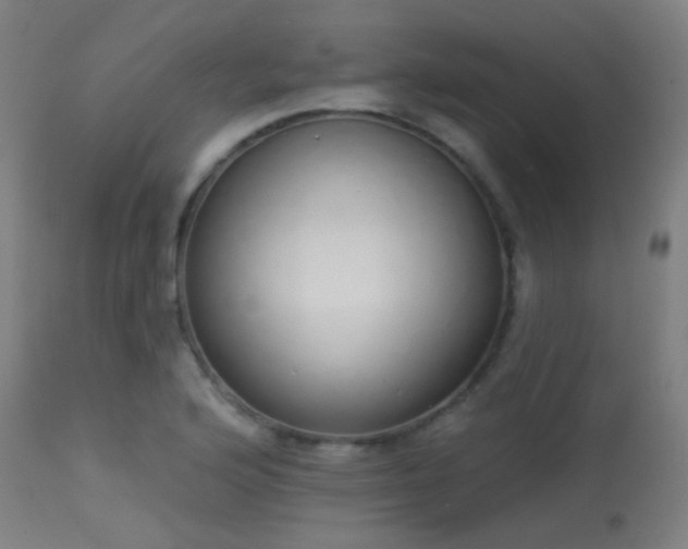 X0000113321176200909211148