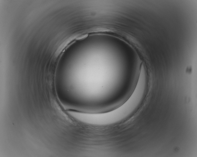 X0000113321177200909211148