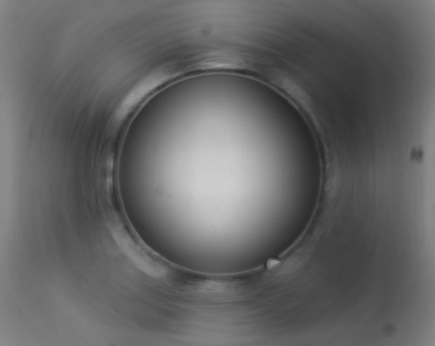 X0000113321179200909211148