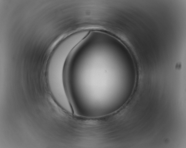 X0000113321181200909211148