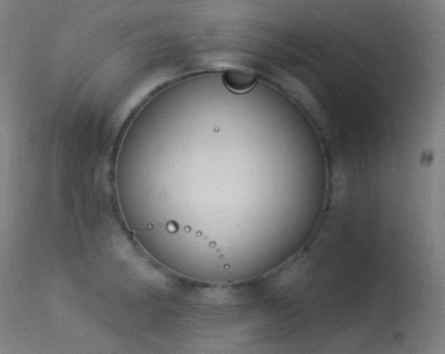 X0000113321182200909211148