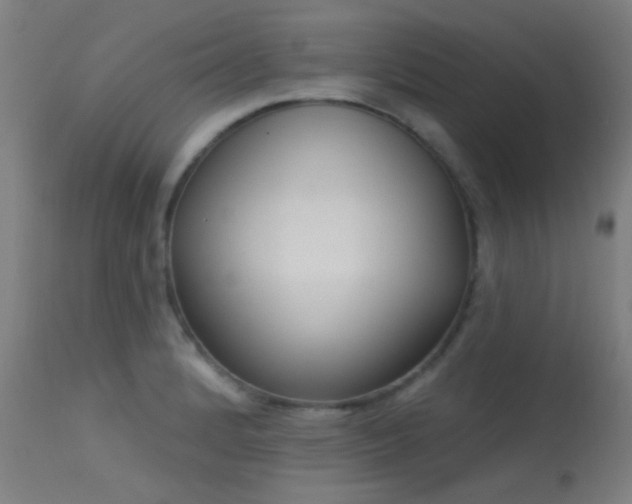 X0000113321184200909211148