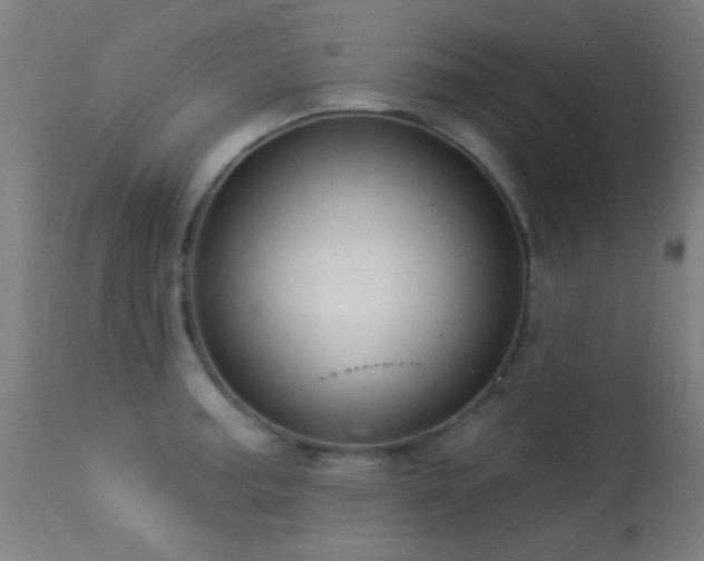 X0000113321187200909211148