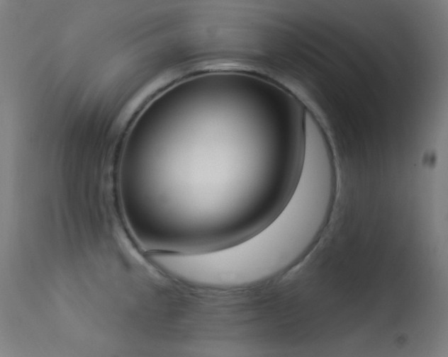 X0000113321189200909211148