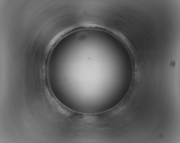 X0000113321191200909211148