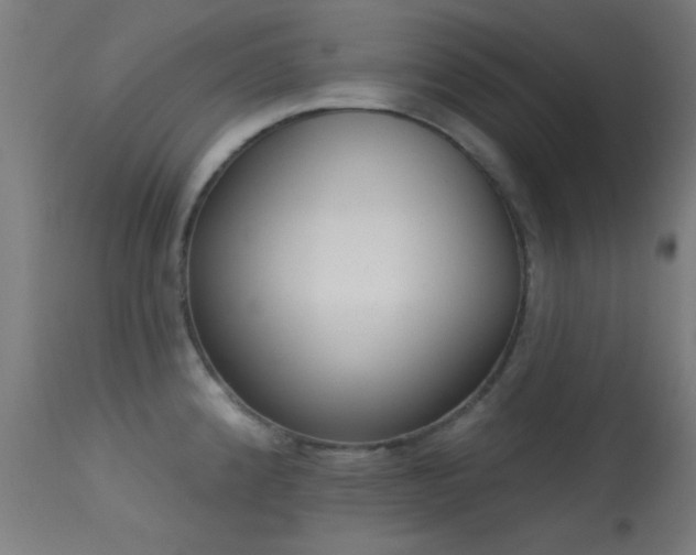 X0000113321192200909211148