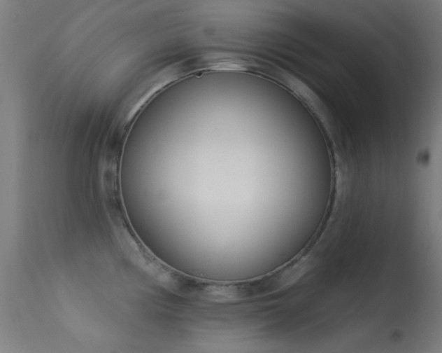 X0000113321194200909211148