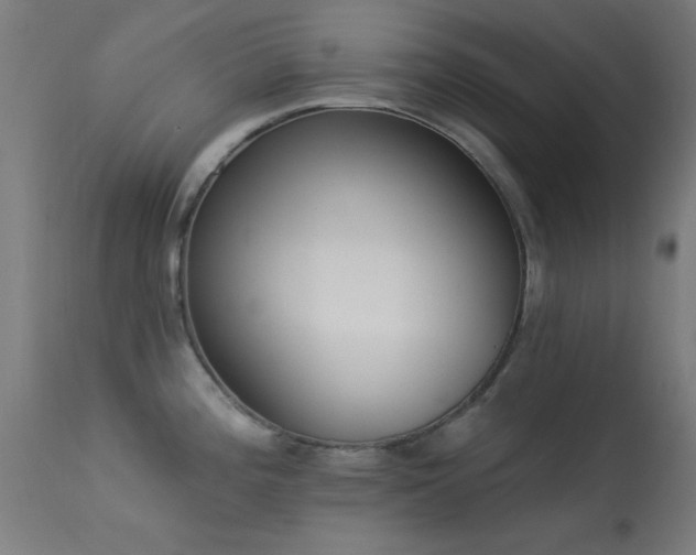 X0000113321196200909211148