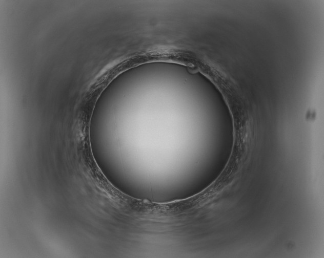 X0000113321206200909211147