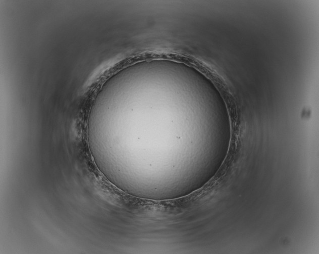 X0000113321207200909211147