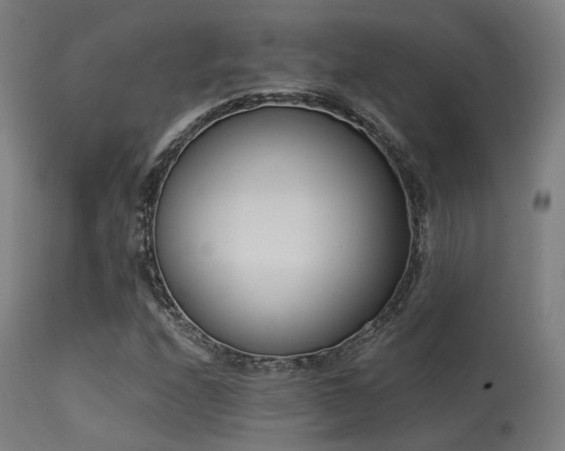 X0000113321208200909211147