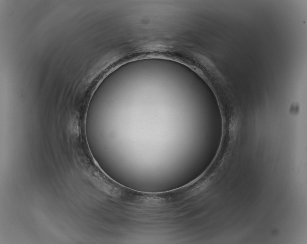 X0000113321209200909211147