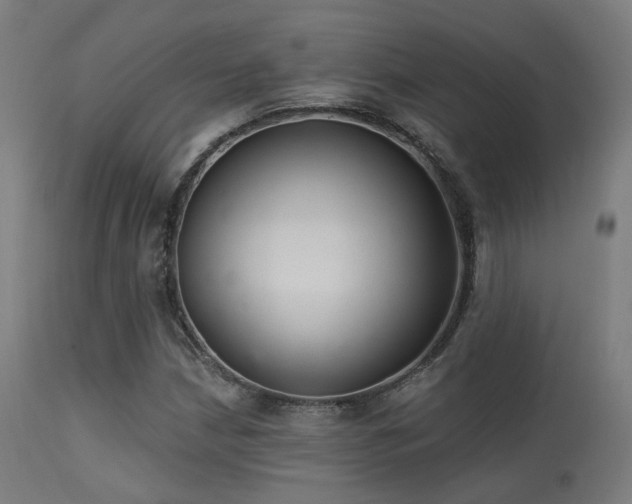 X0000113321210200909211147