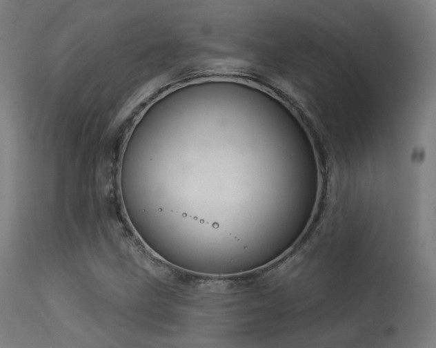 X0000113321211200909211147