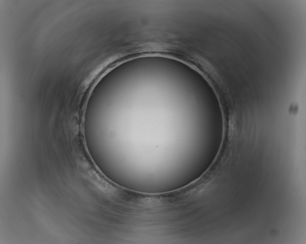 X0000113321212200909211147