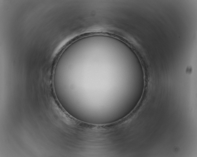 X0000113321216200909211147