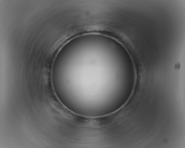 X0000113321217200909211147