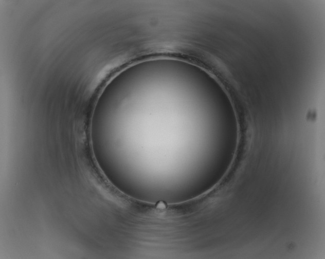 X0000113321218200909211147