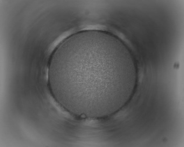 X0000113321221200909211147