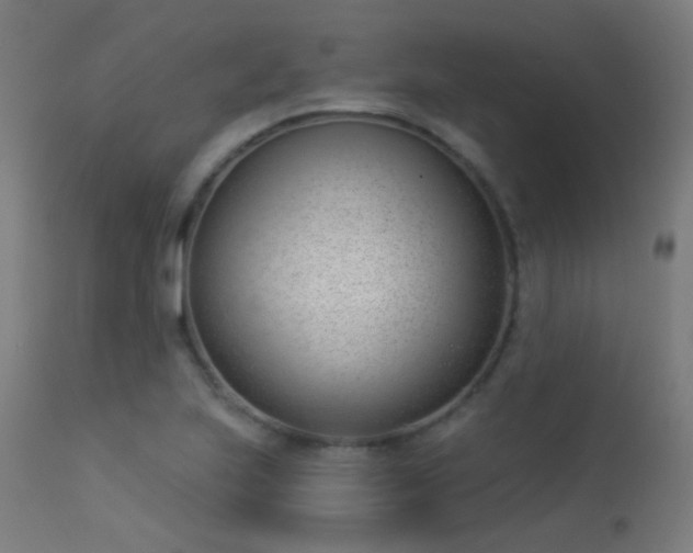 X0000113321223200909211147