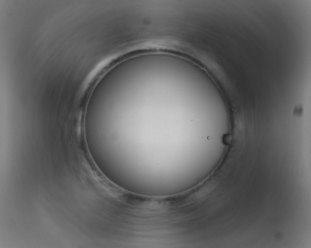 X0000113321224200909211147