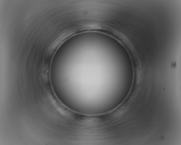 X0000113321225200909211147