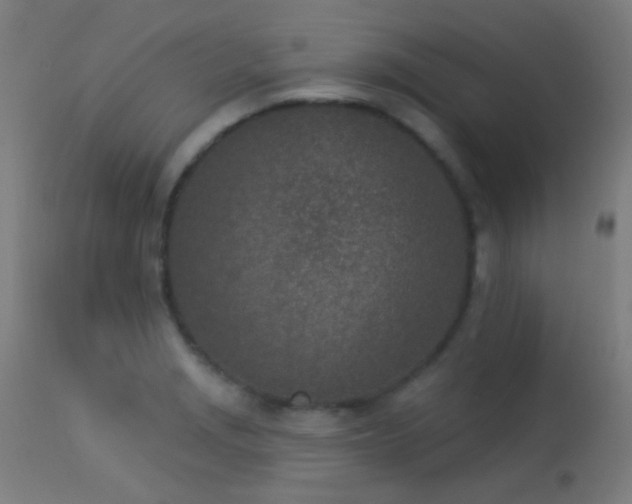 X0000113321229200909211147