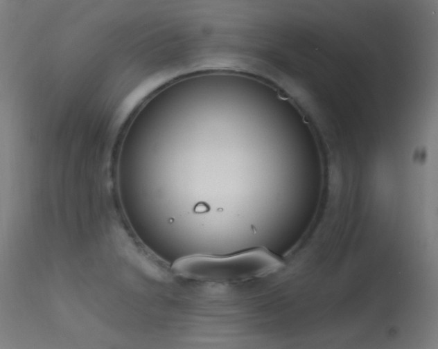 X0000113321230200909211147